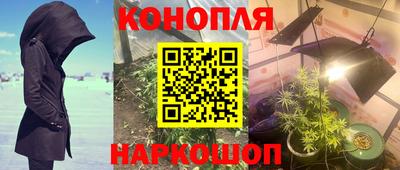 стафф Бугуруслан