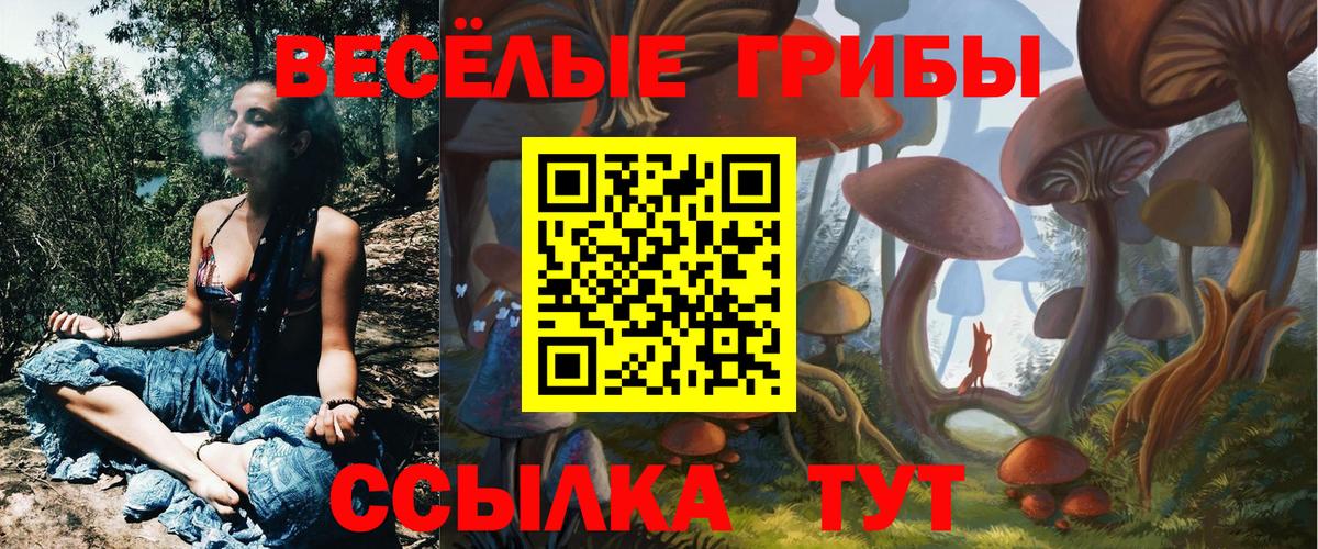Галлюциногенные грибы Psilocybine cubensis Севастополь