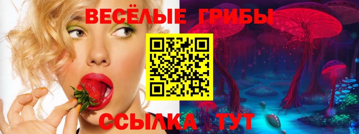 Галлюциногенные грибы мицелий  Псилоцибиновые грибы мицелий  Севастополь  Вход с VPN 